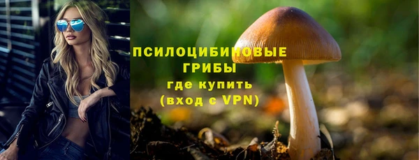 ECSTASY Горняк