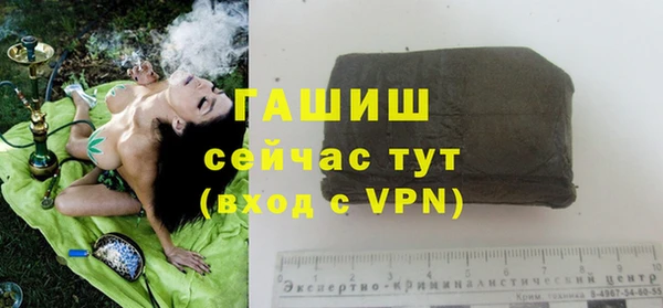 ECSTASY Горняк
