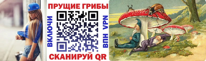 kraken как войти Никольск Псилоцибиновые грибы Magic Shrooms