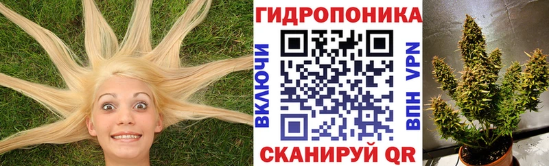 где продают   Никольск  Канабис AK-47 